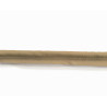 Plain, caramel flanged piping cord on a white background
