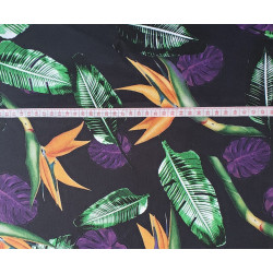 Waterproof fabric - Strelizia Monstera