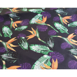 Waterproof fabric - Strelizia Monstera