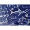 Outdoor 100% waterproof fabric - OLD SEA MAPS pattern  in navy color
