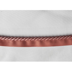 Flanged insertion cord, 5mm wide in beautiful dusky pink color on white background