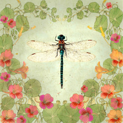 Fabric Panel - Dragonfly&nasturtium in vintage style printed on 100% cotton panama fabric, set of two panel sizes