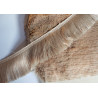 silky cut fringe - beige sand color - 60mm long on a white background