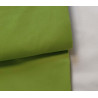 medium-weight cotton fabric -  Apple green color, the fabric with the fold, placed across the frame