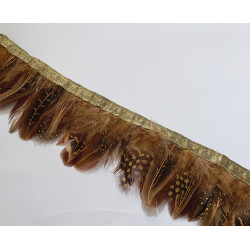 Partridge feathers trim