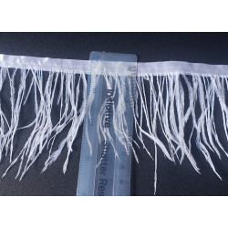 Ostrich feather fringe trim- white color, placed with the ruler on a black, contrasting background