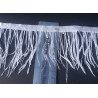 Ostrich feather fringe trim- white color, placed with the ruler on a black, contrasting background