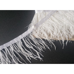 Ostrich feather fringe trim- white color, placed on a black, contrasting background