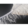 Ostrich feather fringe trim- white color, placed on a black, contrasting background
