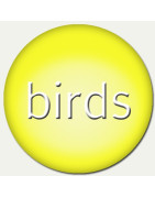 birds theme panels